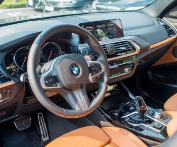 BMW X3 2019 - Cần bán gấp BMW X3 năm 2019, màu đen, nhập khẩu