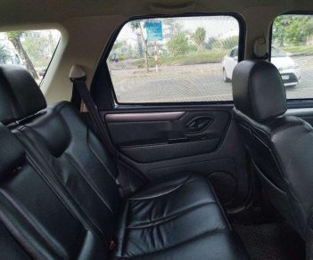 Ford Escape 2009 - Bán Ford Escape 2009, màu xám xe gia đình, giá tốt