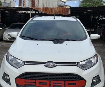 Ford EcoSport 2016 - Bán Ford EcoSport đời 2016, màu trắng chính chủ, giá tốt