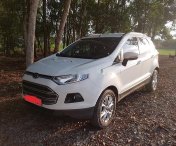 Ford EcoSport 2015 - Cần bán Ford EcoSport đời 2015, màu trắng xe gia đình