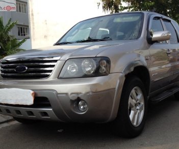 Ford Escape 2007 - Cần bán lại xe Ford Escape 2008 giá cạnh tranh