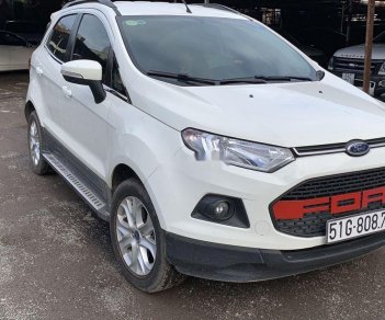 Ford EcoSport 2016 - Bán Ford EcoSport đời 2016, màu trắng chính chủ, giá tốt