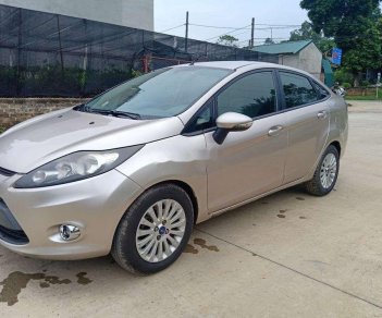 Ford Fiesta AT 2011 - Bán Ford Fiesta AT sản xuất 2011, màu bạc 