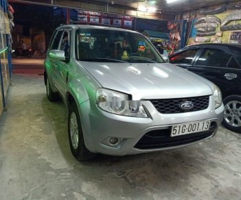 Ford Escape 2010 - Bán Ford Escape năm sản xuất 2010, màu bạc xe gia đình, giá tốt