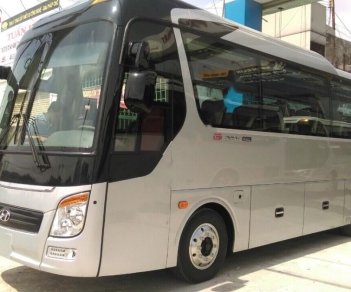 Hyundai Universe 2017 - Cần bán Hyundai Universe năm 2017, màu bạc, giá tốt