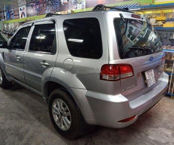 Ford Escape 2010 - Bán xe Ford Escape năm sản xuất 2010, giá tốt