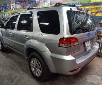 Ford Escape 2010 - Bán Ford Escape năm sản xuất 2010, màu bạc xe gia đình, giá tốt