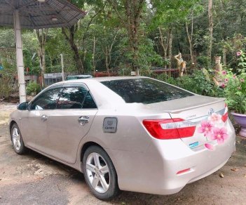 Toyota Camry 2014 - Bán Toyota Camry năm sản xuất 2014, xe nhập