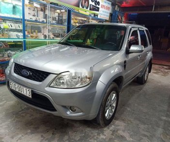 Ford Escape 2010 - Bán xe Ford Escape năm sản xuất 2010, giá tốt