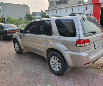 Ford Escape 2009 - Bán Ford Escape 2009, số tự động