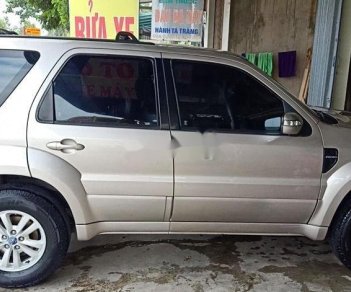 Ford Escape 2009 - Bán Ford Escape 2009, số tự động