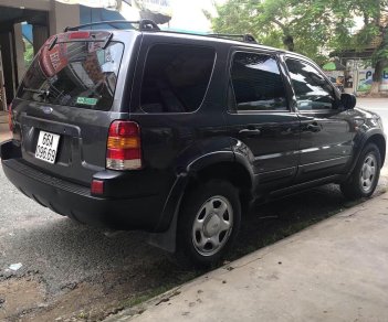 Ford Escape XLT 2002 - Chính chủ bán Ford Escape XLT sản xuất năm 2002, màu xám