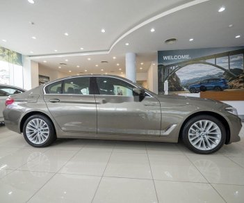 BMW 5 Series   2019 - Cần bán xe BMW 530i đời 2019, màu vàng, nhập khẩu