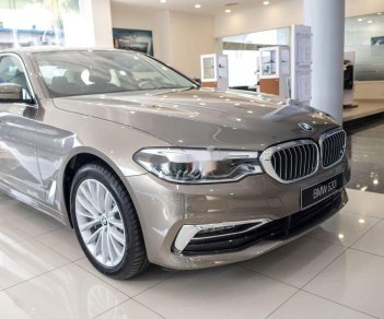 BMW 5 Series   2019 - Cần bán xe BMW 530i đời 2019, màu vàng, nhập khẩu