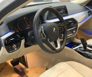 BMW 5 Series   2019 - Bán BMW 520i đời 2019, màu trắng, nhập khẩu