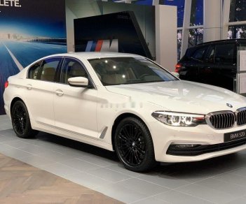 BMW 5 Series   2019 - Bán BMW 520i đời 2019, màu trắng, nhập khẩu