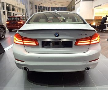 BMW 5 Series   2019 - Bán BMW 520i đời 2019, màu trắng, nhập khẩu