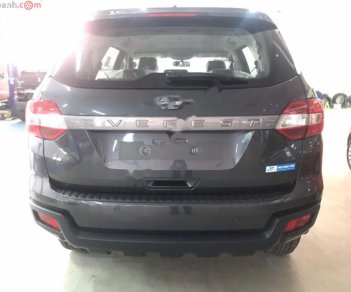 Ford Everest 2019 - Bán xe Ford Everest Ambient 2.0 AT đời 2019, xe nhập