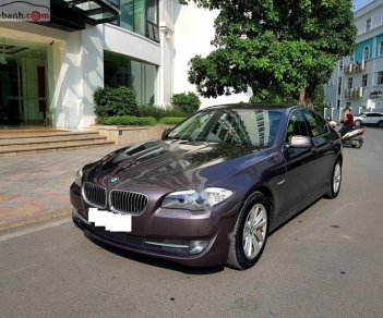 BMW 5 Series 2012 - Bán BMW 5 Series 520i năm sản xuất 2012, màu nâu, xe nhập số tự động, giá 989tr
