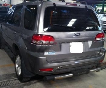 Ford Escape 2009 - Bán xe Ford Escape XLT sản xuất năm 2009, màu xám còn mới