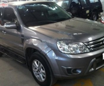 Ford Escape 2009 - Bán xe Ford Escape XLT sản xuất năm 2009, màu xám còn mới