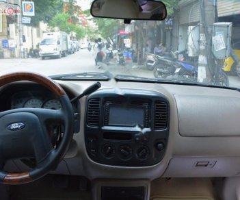 Ford Escape 2008 - Bán Ford Escape năm 2008, màu vàng, xe nhập chính hãng