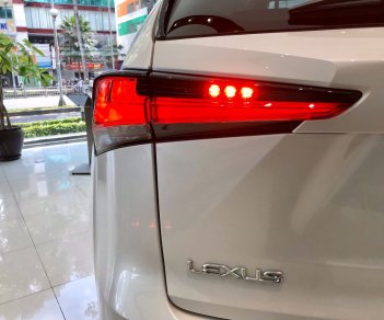 Lexus NX 2019 - Lexus NX300 mẫu xe chuyên dụng thể thao cao cấp trong phố