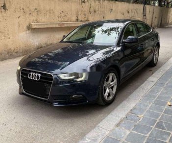 Audi A5 2014 - Bán Audi A5 đời 2014, nhập khẩu xe gia đình