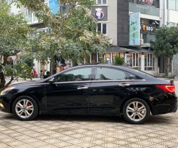 Hyundai Sonata   2.0L   2010 - Bán Hyundai Sonata 2.0L đời 2010, màu đen, nhập khẩu, giá 455tr