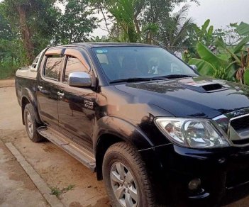 Toyota Hilux   2010 - Cần bán Toyota Hilux đời 2010, nhập khẩu nguyên chiếc, giá tốt