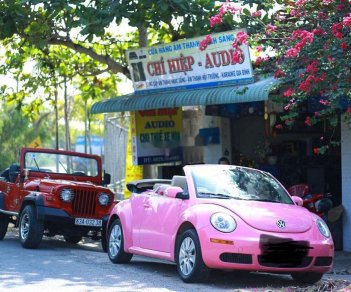 Volkswagen Beetle   2009 - Bán Volkswagen Beetle sản xuất năm 2009, xe mui trần xếp điện