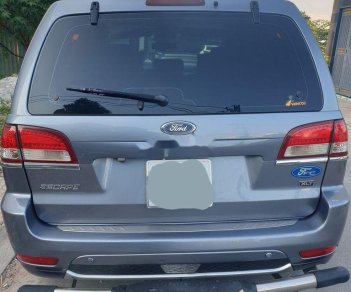 Ford Escape   2009 - Bán xe Ford Escape đời 2009, màu xanh lam, nhập khẩu 