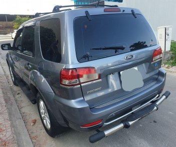 Ford Escape   2009 - Bán xe Ford Escape đời 2009, màu xanh lam, nhập khẩu 