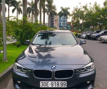 BMW 3 Series  320i  2013 - Bán BMW 3 Series 320i sản xuất năm 2013