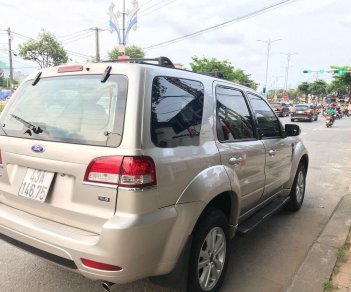 Ford Escape 2009 - Cần bán Ford Escape đời 2009, màu vàng, 320tr