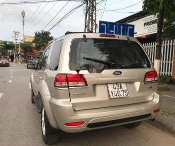 Ford Escape 2009 - Cần bán Ford Escape đời 2009, màu vàng, 320tr