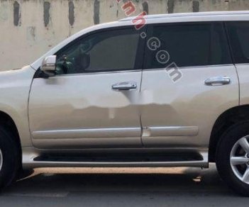 Lexus GX 2011 - Cần bán Lexus GX 460 đời 2011, màu bạc, xe nhập