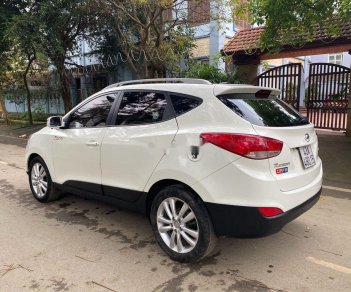 Hyundai Tucson   2009 - Bán ô tô Hyundai Tucson đời 2009, màu trắng, nhập khẩu nguyên chiếc, 515 triệu