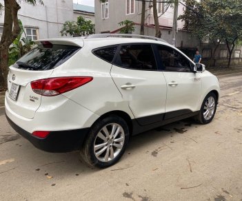 Hyundai Tucson   2009 - Bán ô tô Hyundai Tucson đời 2009, màu trắng, nhập khẩu nguyên chiếc, 515 triệu