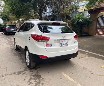 Hyundai Tucson   2009 - Bán ô tô Hyundai Tucson đời 2009, màu trắng, nhập khẩu nguyên chiếc, 515 triệu