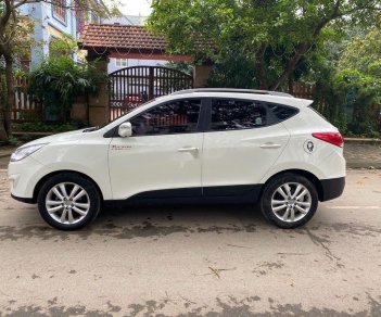 Hyundai Tucson   2009 - Bán ô tô Hyundai Tucson đời 2009, màu trắng, nhập khẩu nguyên chiếc, 515 triệu