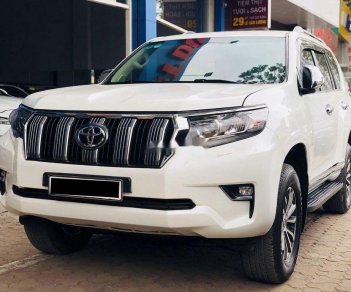 Toyota Prado 2010 - Bán ô tô Toyota Prado đời 2010, màu trắng, nhập khẩu