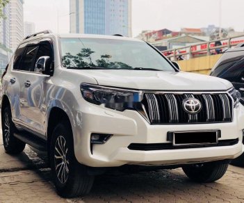 Toyota Prado 2010 - Bán ô tô Toyota Prado đời 2010, màu trắng, nhập khẩu