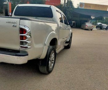 Toyota Hilux 2010 - Cần bán lại xe Toyota Hilux 2010, màu bạc, nhập khẩu