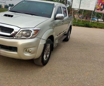 Toyota Hilux 2010 - Cần bán lại xe Toyota Hilux 2010, màu bạc, nhập khẩu