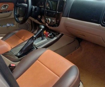 Ford Escape  XLT  2008 - Bán Ford Escape XLT sản xuất 2008 đẹp như mới