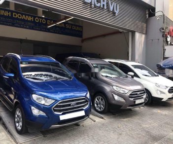 Ford EcoSport   Demo 2019 - Bán xe Ford EcoSport Demo sản xuất 2019, màu trắng, 590tr