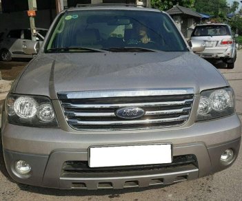 Ford Escape  XLT  2008 - Bán Ford Escape XLT sản xuất 2008 đẹp như mới