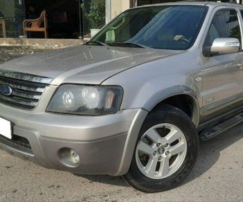 Ford Escape  XLT  2008 - Bán Ford Escape XLT sản xuất 2008 đẹp như mới