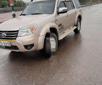 Ford Everest 2009 - Bán Ford Everest năm sản xuất 2009, màu vàng, nhập khẩu